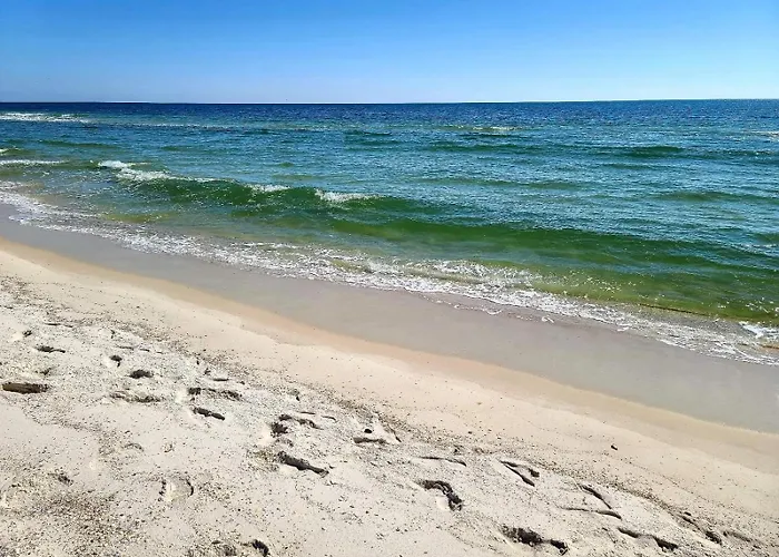 Island Sunrise 262 By Youngs Suncoast Gulf Shores